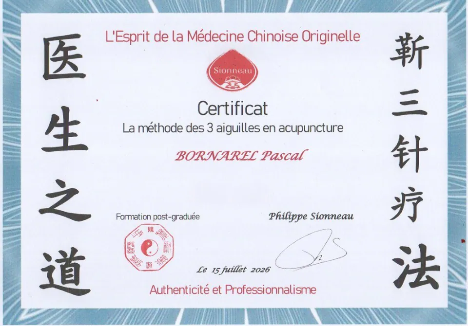 Certificat de formation à la méthode des trois aiguilles de Pascal Bornarel