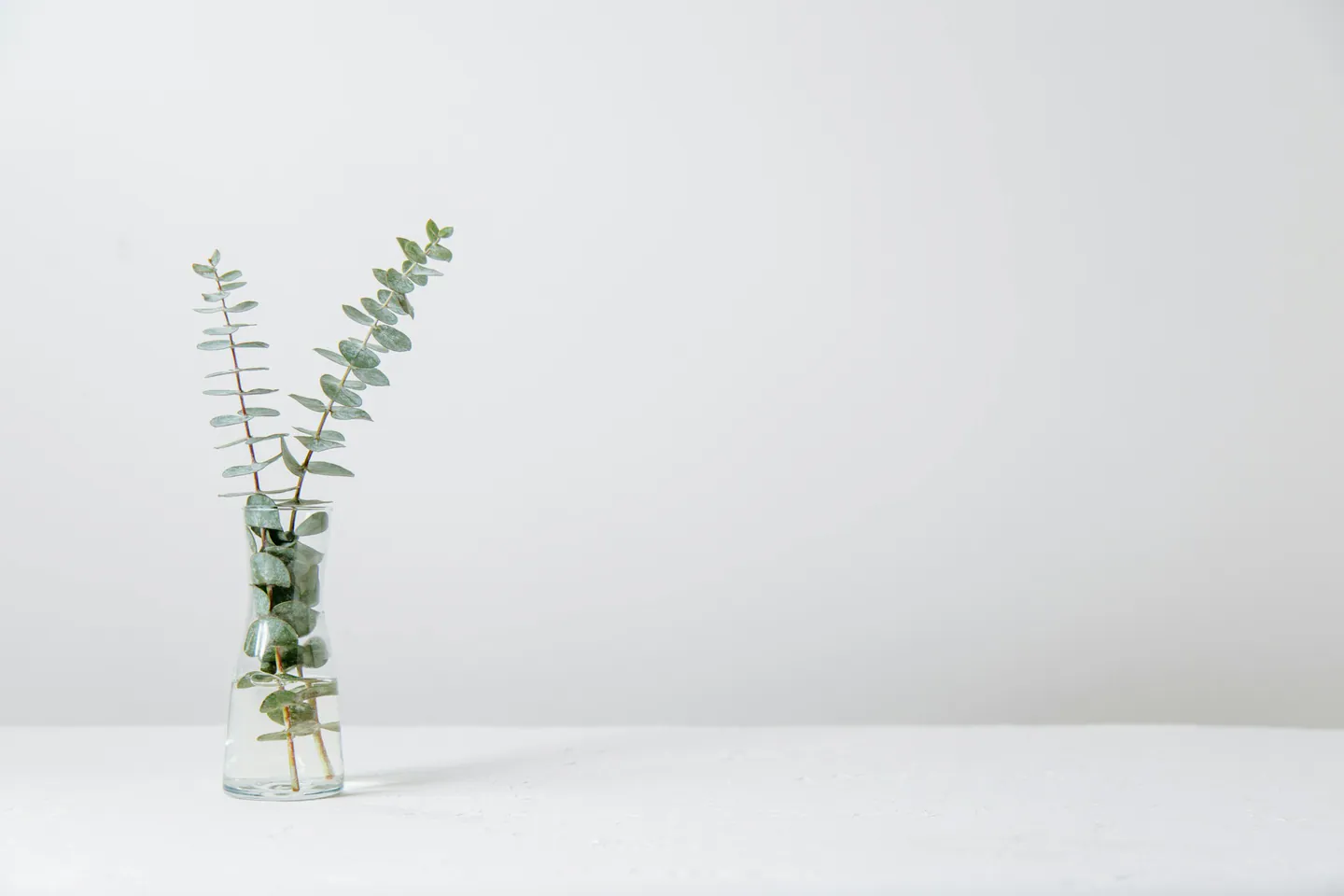 Composition sobre et sereine