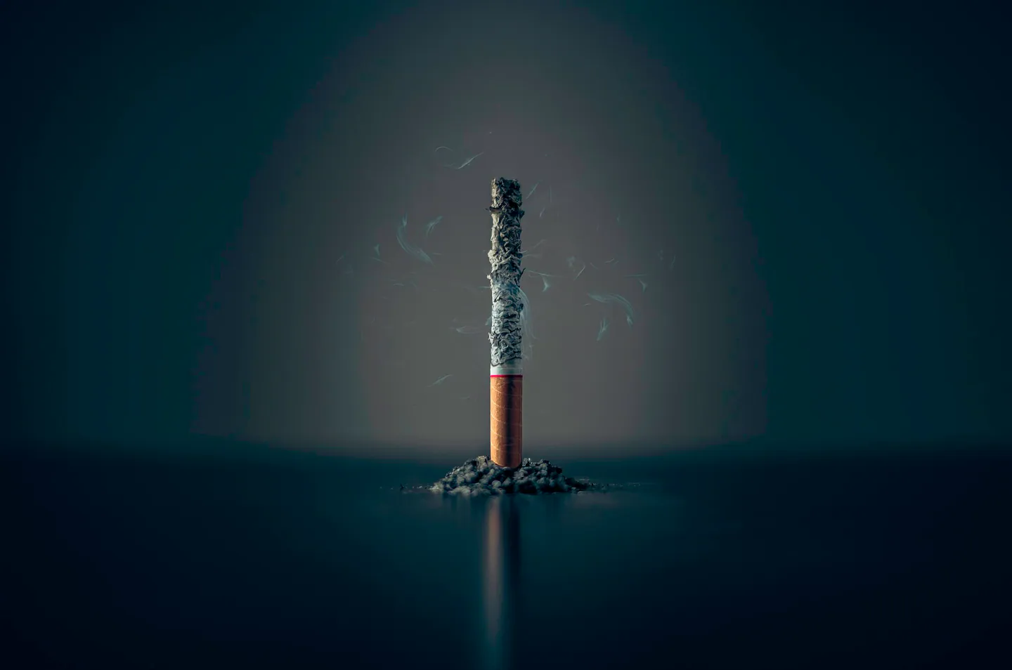 Cigarette consumée photographiée sur fond sombre